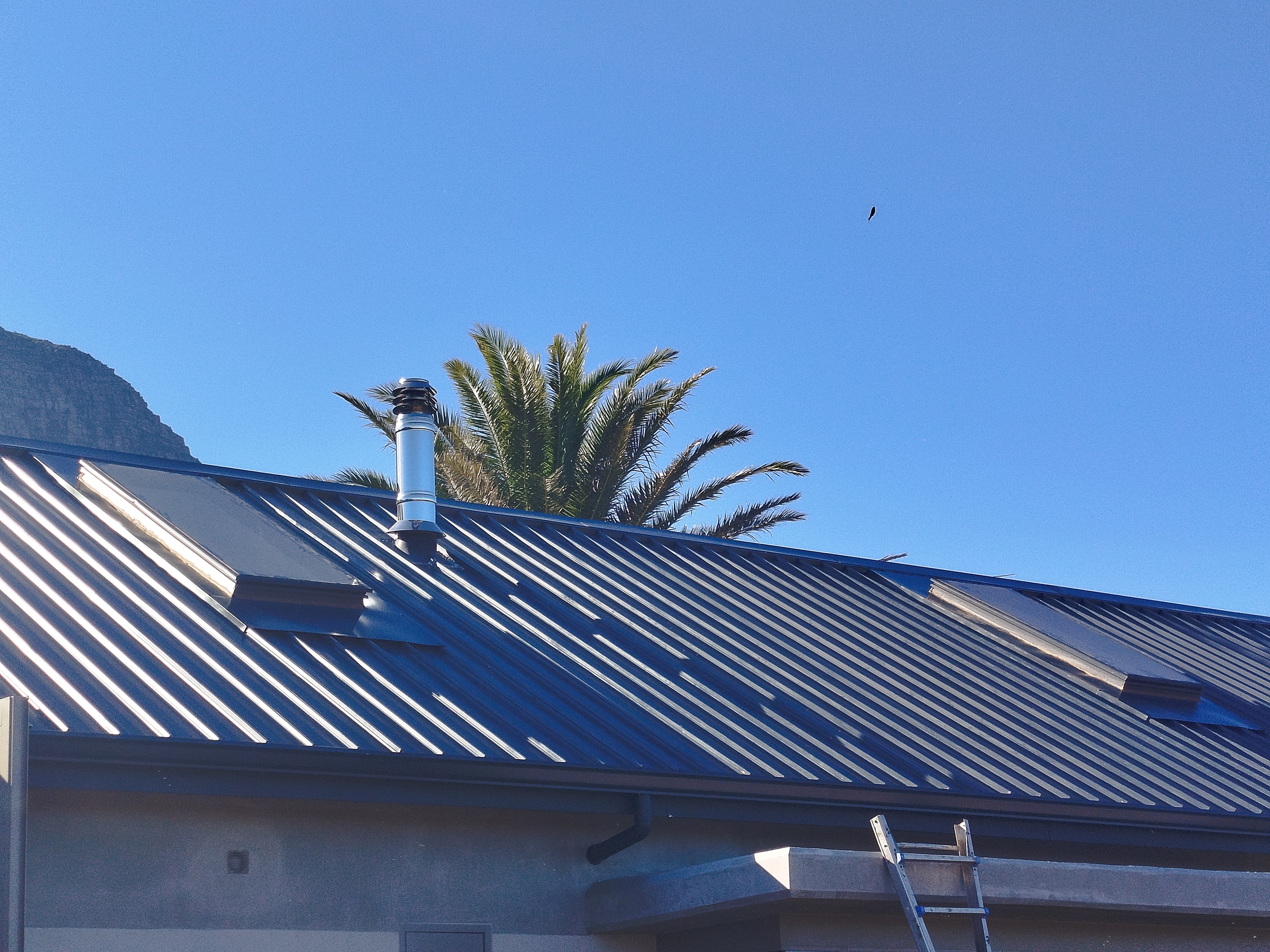 Metal roof project with palm tree — Cape Town residential installation