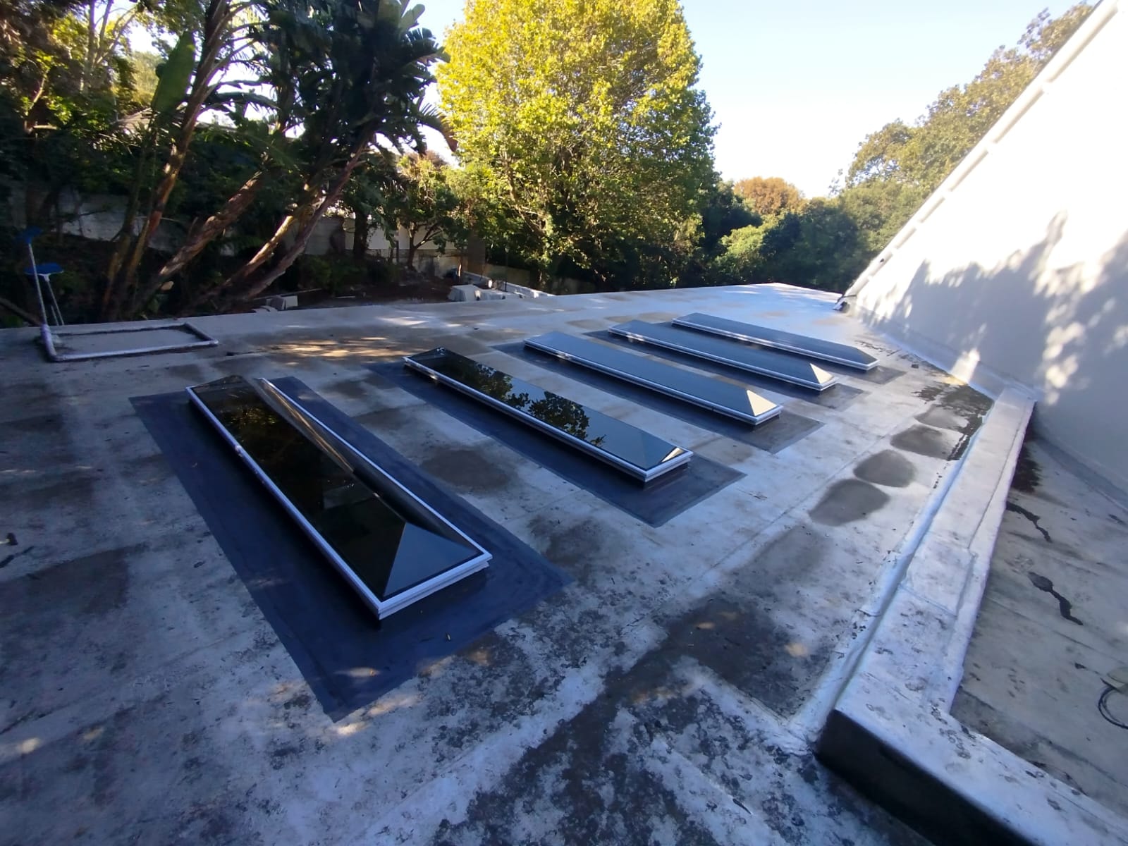 Skylights installed on a concrete rooftop surface — clean exterior finish
